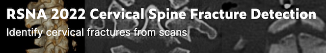 RSNA Spine challenge