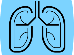 Illustration Un acteur français de l'IA propose deux outils TDM pour la détection du cancer