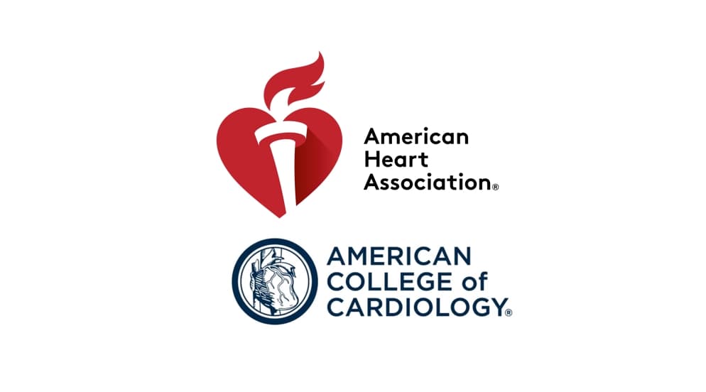 Illustration La dénervation rénale devient une option thérapeutique reconnue aux USA